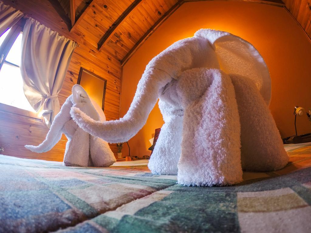 Cabanas De La Patagonia San Martín de los Andes Kültér fotó